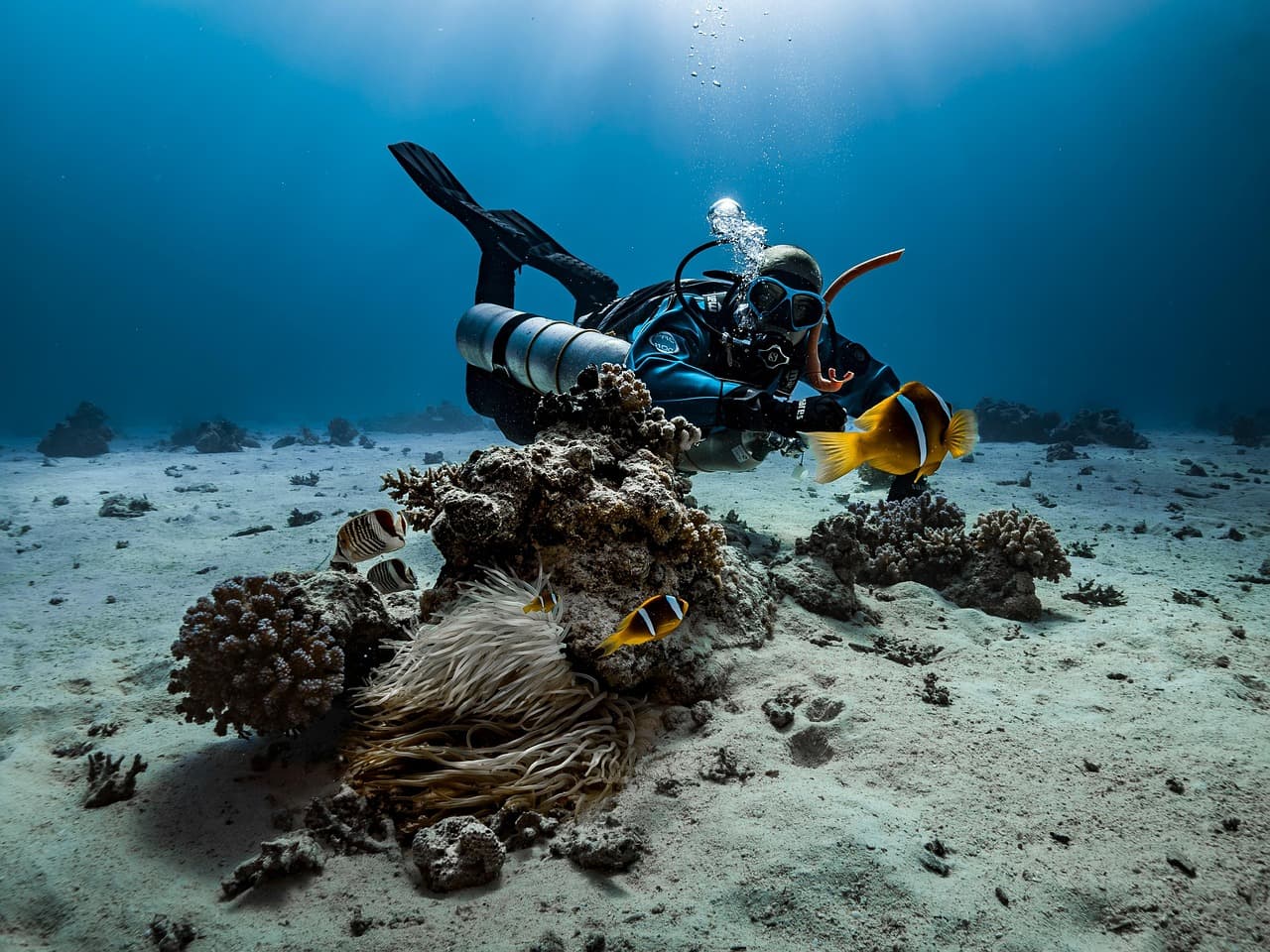 Scuba diving underwater scene